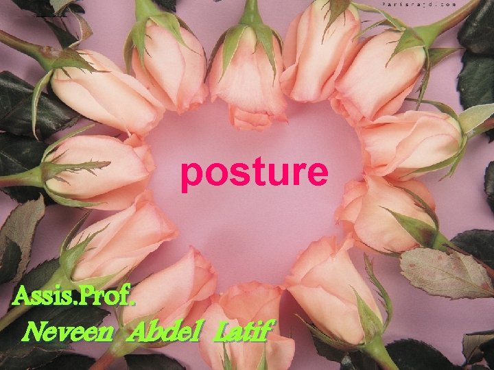 posture Assis. Prof. Neveen Abdel Latif 