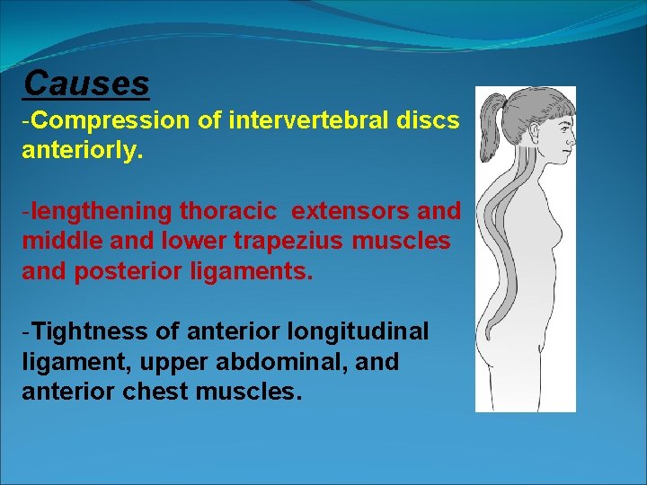 Causes -Compression of intervertebral discs anteriorly. -lengthening thoracic extensors and middle and lower trapezius