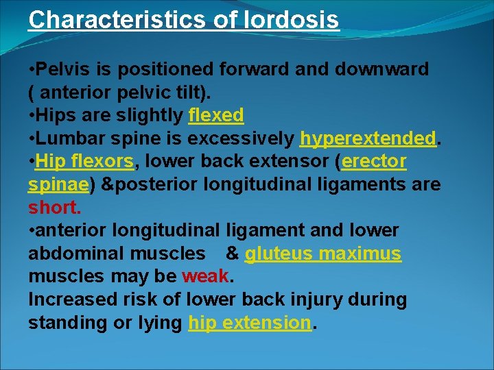 Characteristics of lordosis • Pelvis is positioned forward and downward ( anterior pelvic tilt).