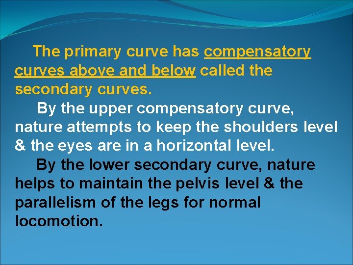 The primary curve has compensatory curves above and below called the secondary curves. By