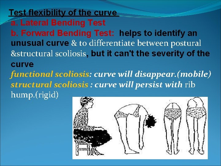 Test flexibility of the curve a. Lateral Bending Test b. Forward Bending Test: helps