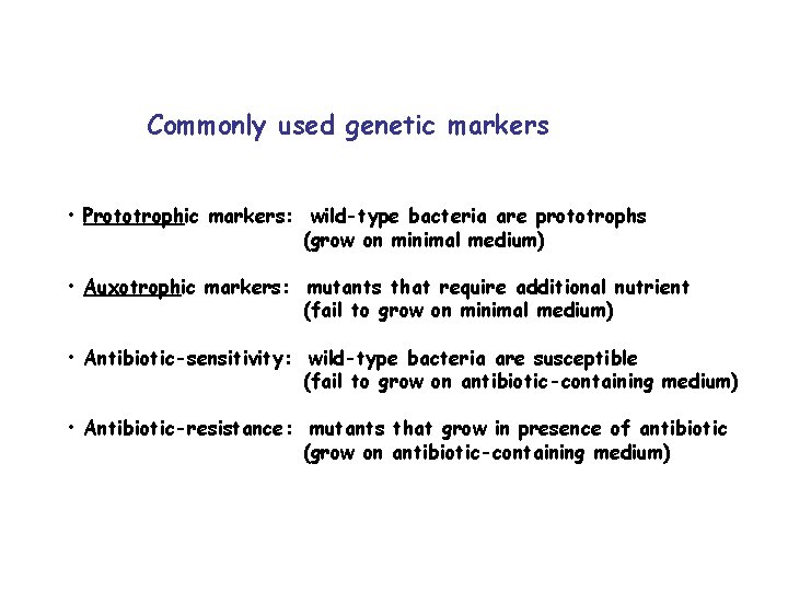 Commonly used genetic markers • Prototrophic markers: wild-type bacteria are prototrophs (grow on minimal