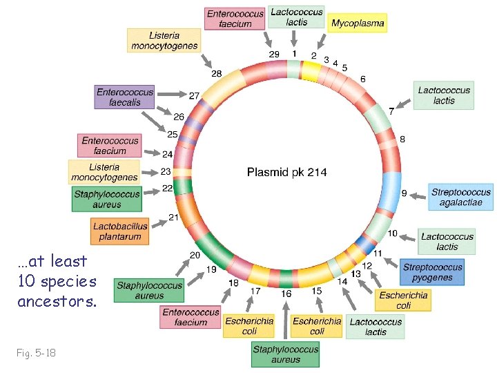 …at least 10 species ancestors. Fig. 5 -18 