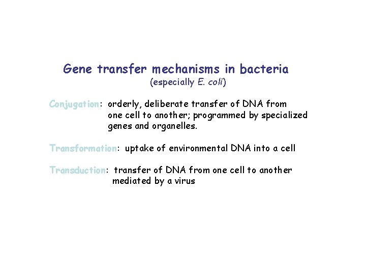Gene transfer mechanisms in bacteria (especially E. coli) Conjugation: orderly, deliberate transfer of DNA