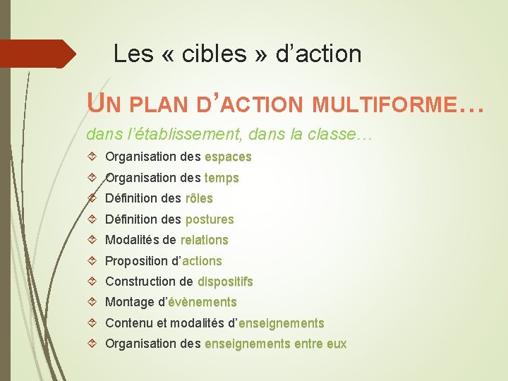 Les « cibles » d’action UN PLAN D’ACTION MULTIFORME… dans l’établissement, dans la classe…