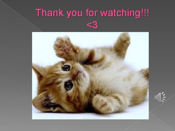 Thank you for watching!!! <3 