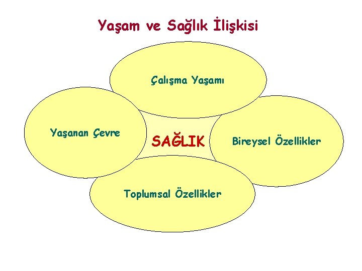 Yaşam ve Sağlık İlişkisi Çalışma Yaşamı Yaşanan Çevre SAĞLIK Toplumsal Özellikler Bireysel Özellikler 