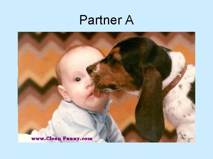 Partner A 