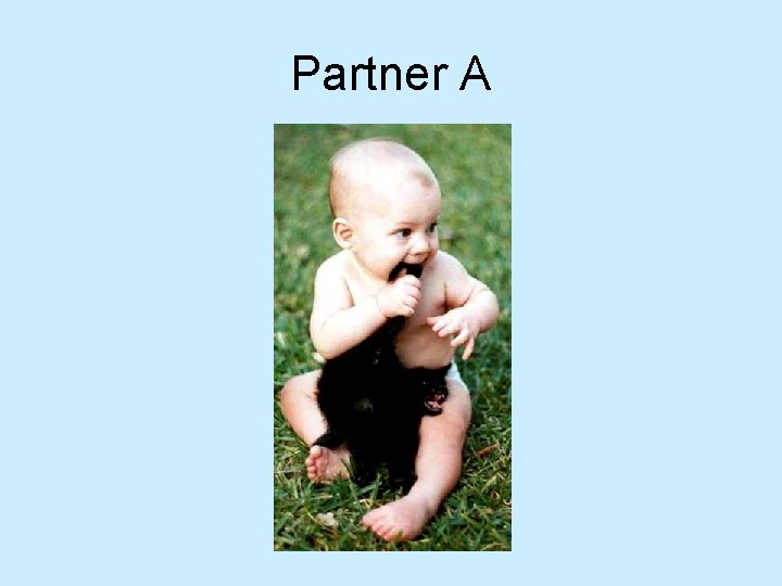 Partner A 