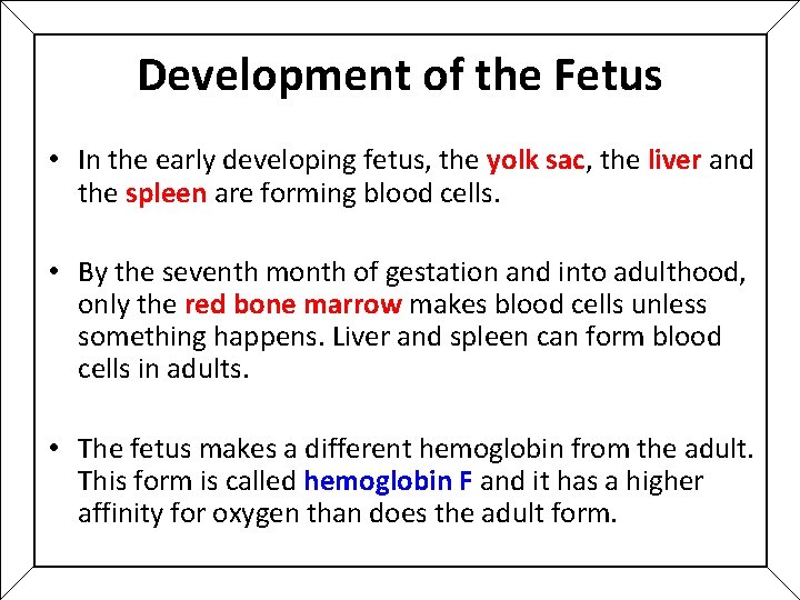 Development of the Fetus • In the early developing fetus, the yolk sac, the Development of the Fetus • In the early developing fetus, the yolk sac, the