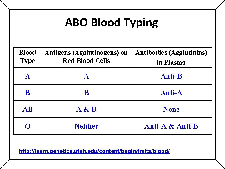 ABO Blood Typing Blood Type Antigens (Agglutinogens) on Red Blood Cells Antibodies (Agglutinins) in ABO Blood Typing Blood Type Antigens (Agglutinogens) on Red Blood Cells Antibodies (Agglutinins) in