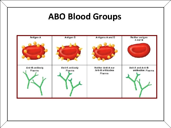 ABO Blood Groups Plasma ABO Blood Groups Plasma