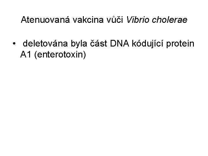 Atenuovaná vakcina vůči Vibrio cholerae • deletována byla část DNA kódující protein A 1