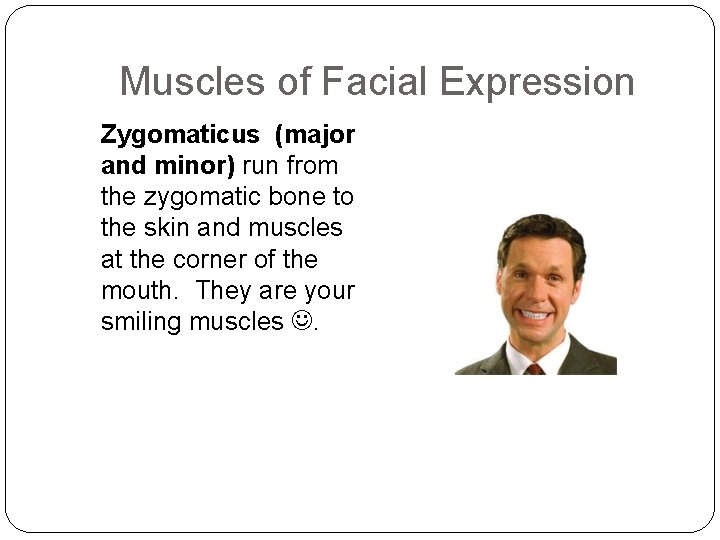 Muscles of Facial Expression Zygomaticus (major and minor) run from the zygomatic bone to