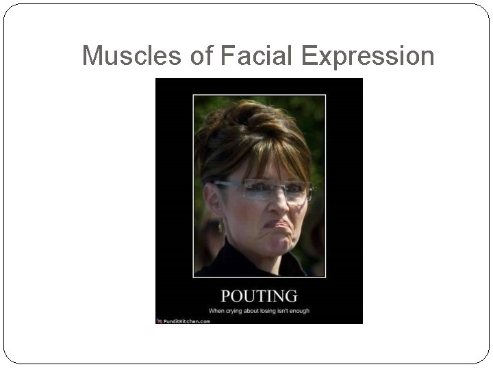 Muscles of Facial Expression 