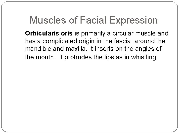 Muscles of Facial Expression Orbicularis oris is primarily a circular muscle and has a