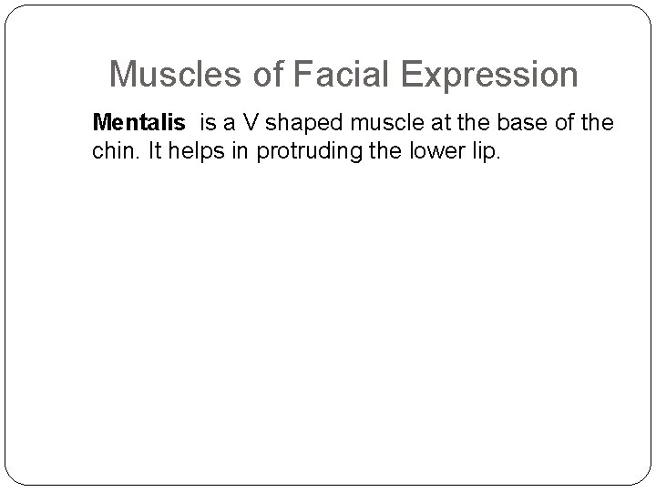Muscles of Facial Expression Mentalis is a V shaped muscle at the base of