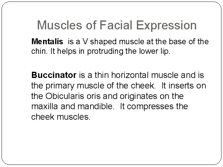 Muscles of Facial Expression Mentalis is a V shaped muscle at the base of