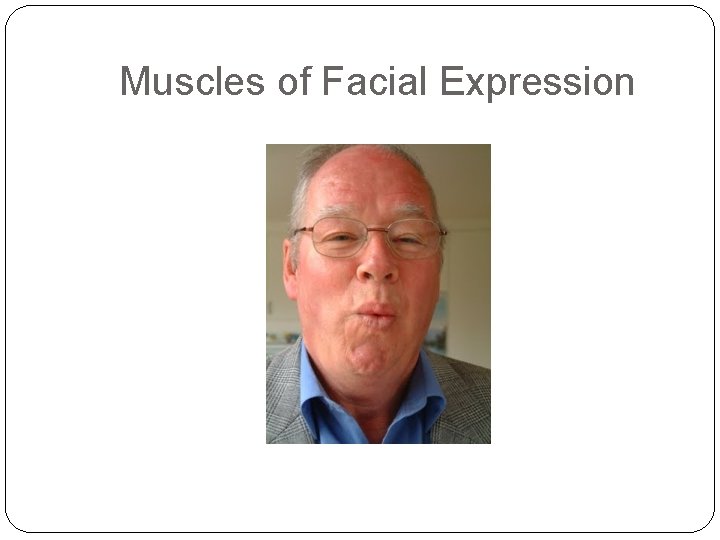 Muscles of Facial Expression 