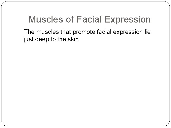 Muscles of Facial Expression The muscles that promote facial expression lie just deep to