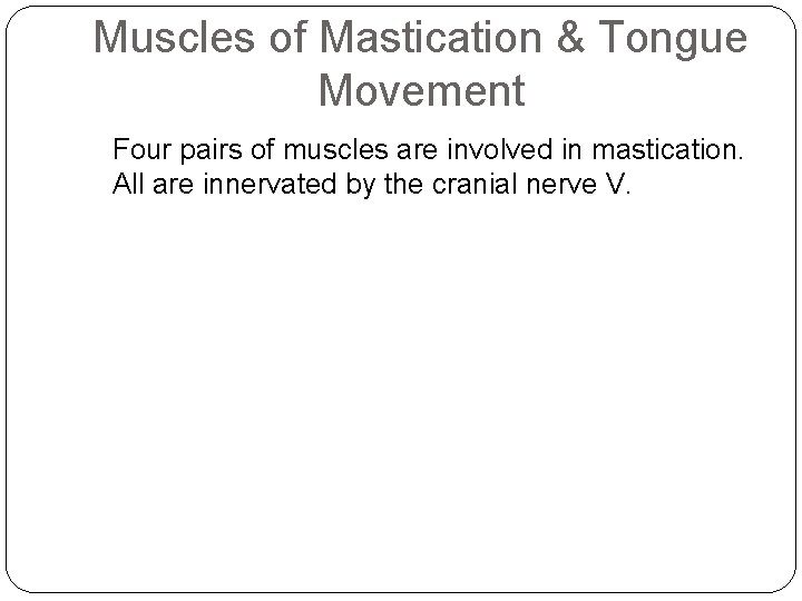 Muscles of Mastication & Tongue Movement Four pairs of muscles are involved in mastication.