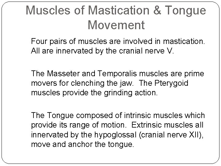 Muscles of Mastication & Tongue Movement Four pairs of muscles are involved in mastication.
