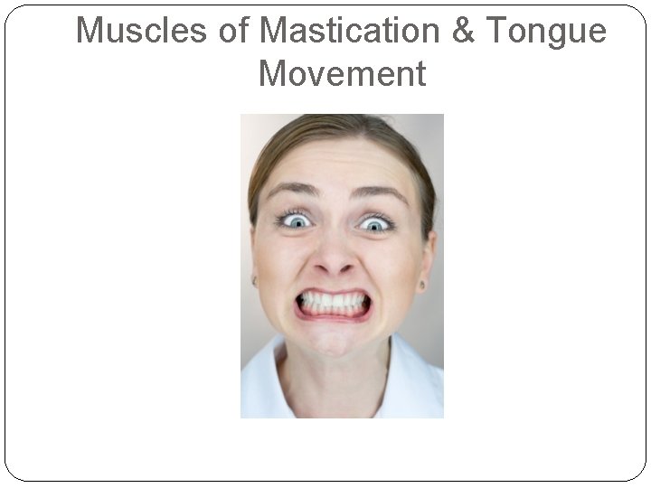 Muscles of Mastication & Tongue Movement 