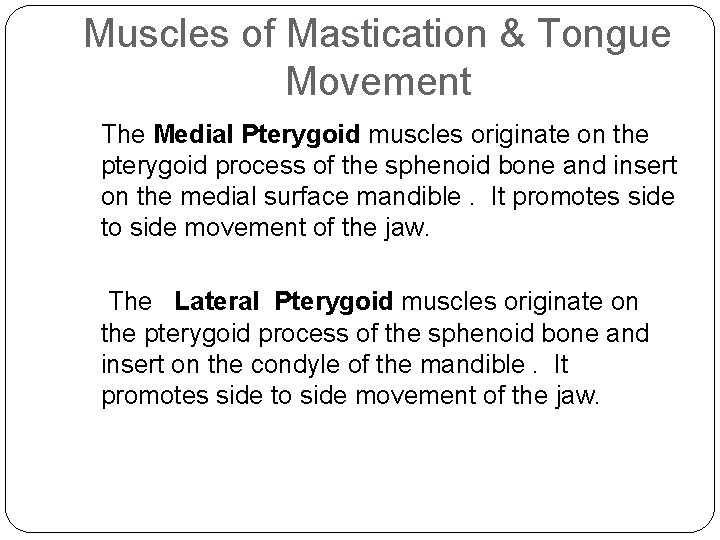 Muscles of Mastication & Tongue Movement The Medial Pterygoid muscles originate on the pterygoid