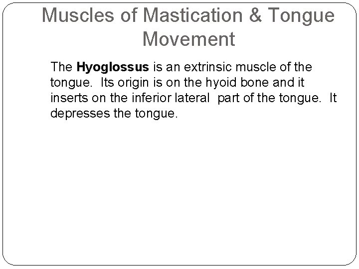 Muscles of Mastication & Tongue Movement The Hyoglossus is an extrinsic muscle of the