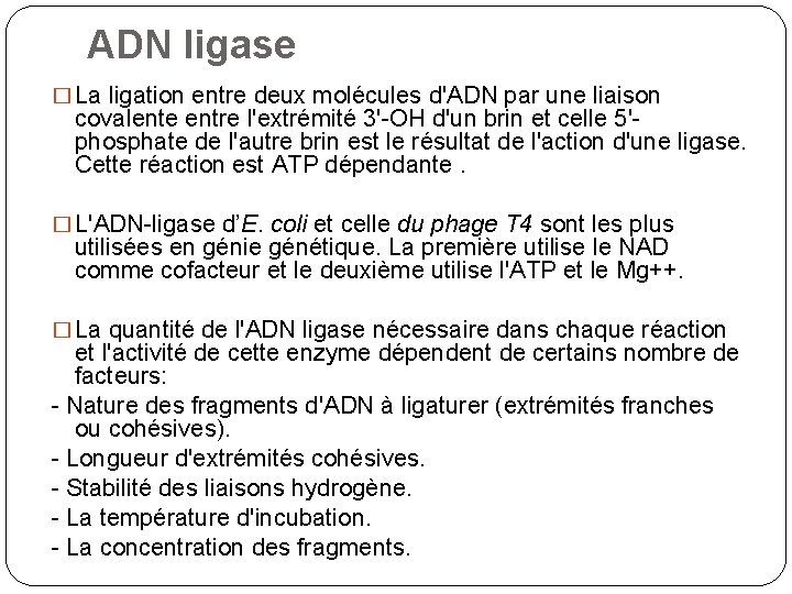 ADN ligase � La ligation entre deux molécules d'ADN par une liaison covalente entre