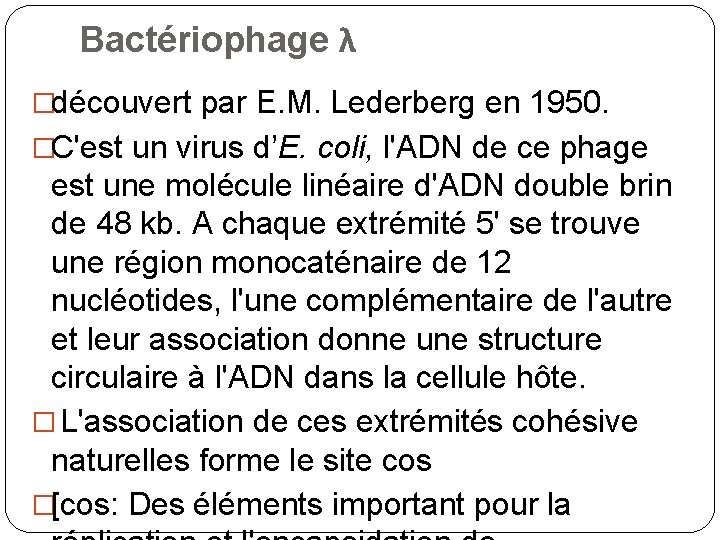 Bactériophage λ �découvert par E. M. Lederberg en 1950. �C'est un virus d’E. coli,