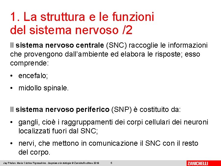 1. La struttura e le funzioni del sistema nervoso /2 Il sistema nervoso centrale