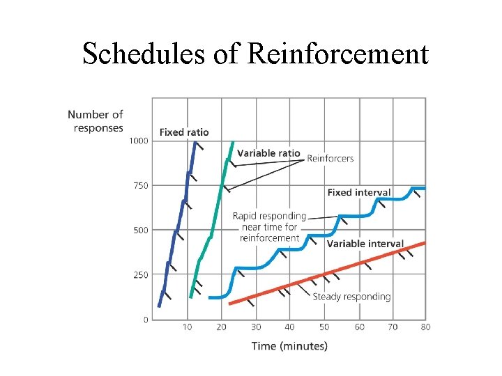 Schedules of Reinforcement 
