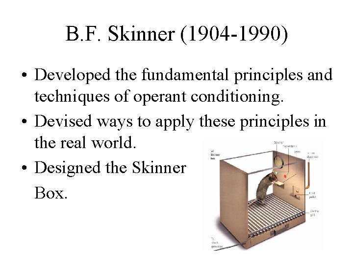 B. F. Skinner (1904 -1990) • Developed the fundamental principles and techniques of operant