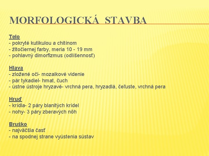 MORFOLOGICKÁ STAVBA Telo - pokryté kutikulou a chitínom - žltočiernej farby, meria 10 - MORFOLOGICKÁ STAVBA Telo - pokryté kutikulou a chitínom - žltočiernej farby, meria 10 -