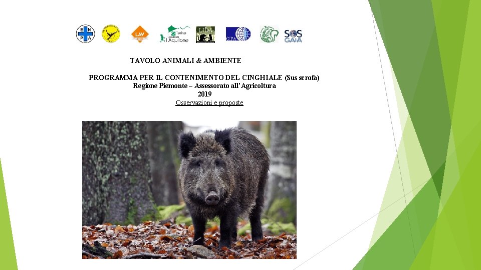 TAVOLO ANIMALI & AMBIENTE PROGRAMMA PER IL CONTENIMENTO DEL CINGHIALE (Sus scrofa) Regione Piemonte