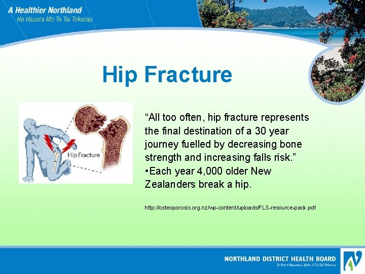 Hip Fracture “All too often, hip fracture represents the final destination of a 30