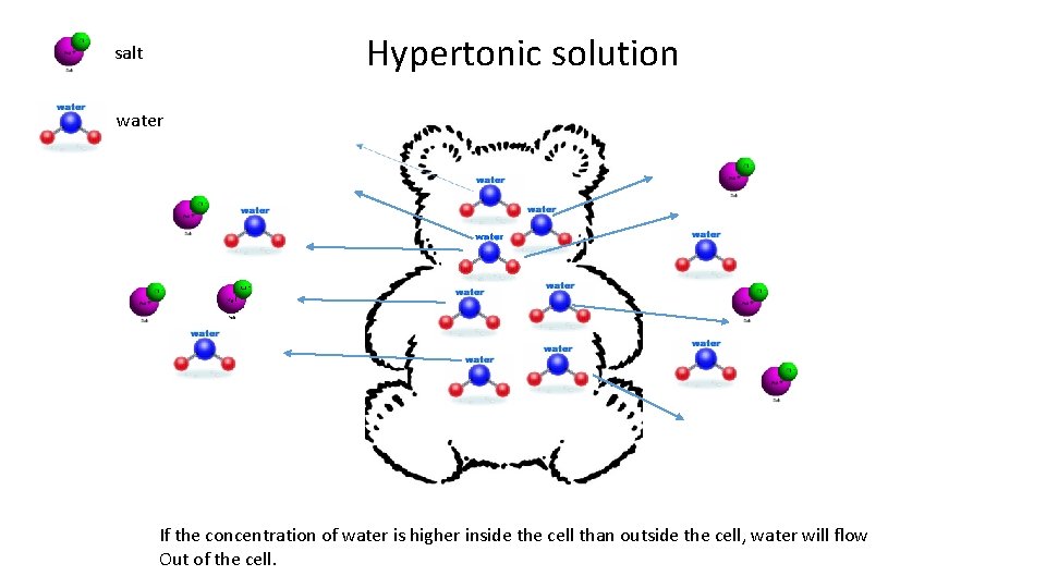 Hypertonic solution salt water If the concentration of water is higher inside the cell