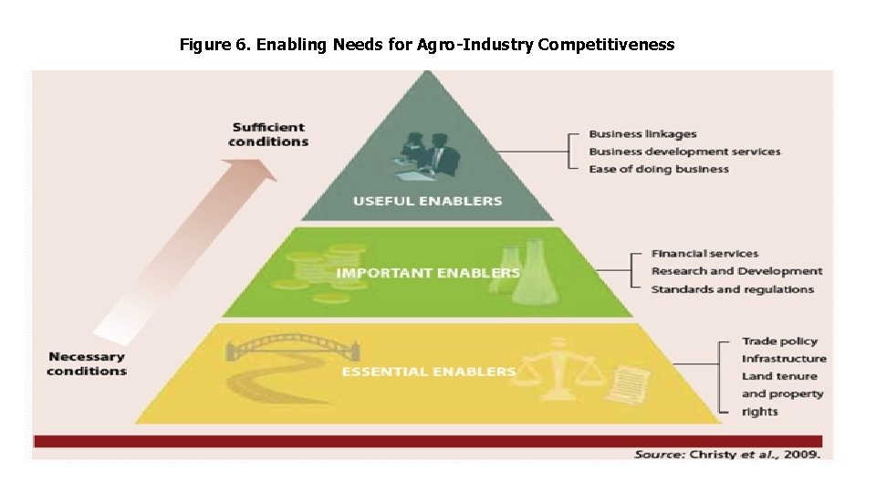 Figure 6. Enabling Needs for Agro-Industry Competitiveness 