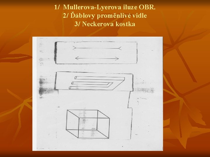 1/ Mullerova-Lyerova iluze OBR. 2/ Ďáblovy proměnlivé vidle 3/ Neckerova kostka 