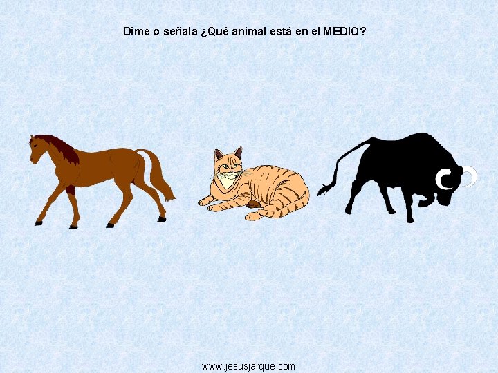 Dime o señala ¿Qué animal está en el MEDIO? www. jesusjarque. com 