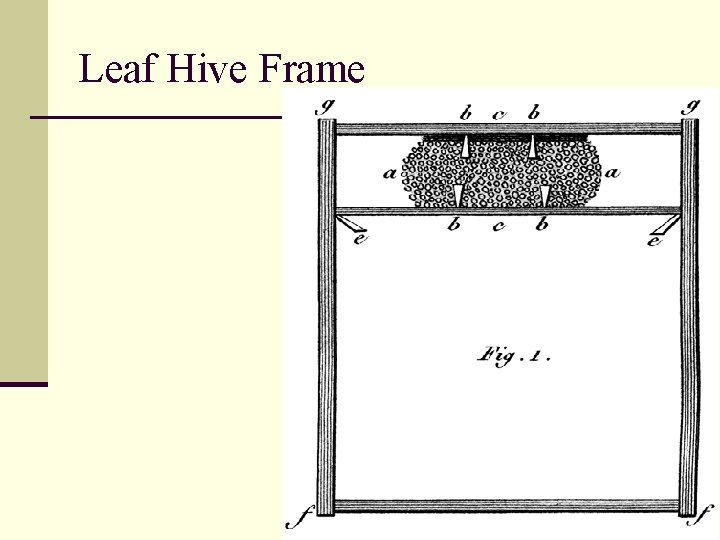 Leaf Hive Frame 