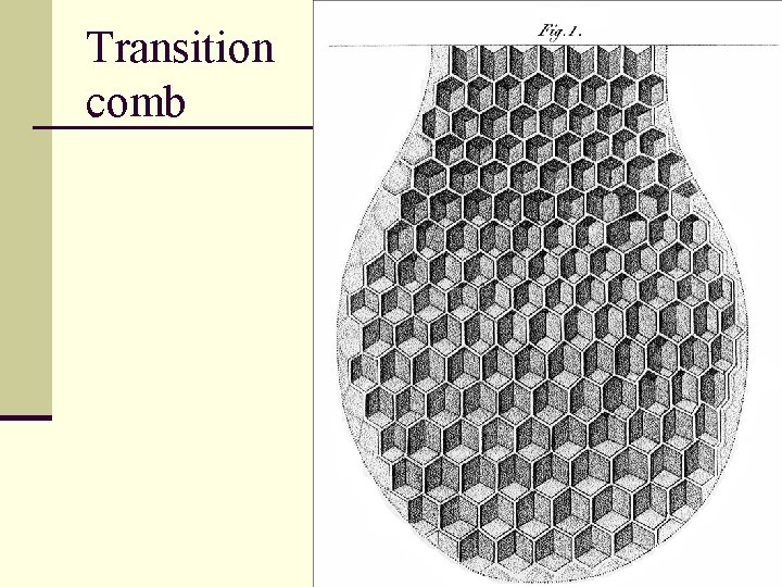 Transition comb 