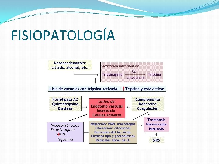 FISIOPATOLOGÍA 