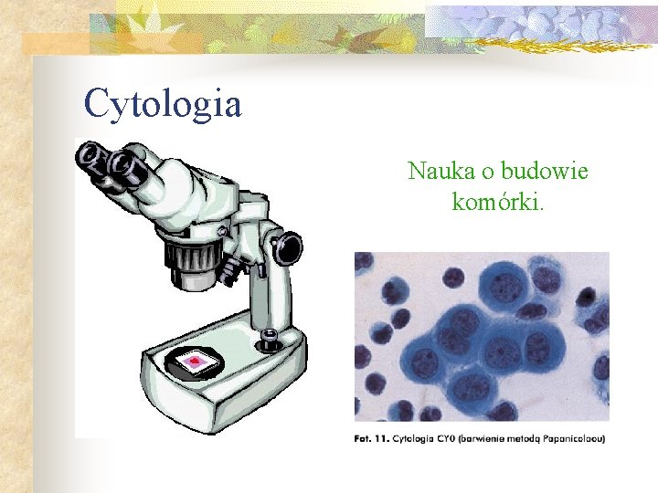 Prezentacja multimedialna BIOLOGIA Co to jest biologia Jest