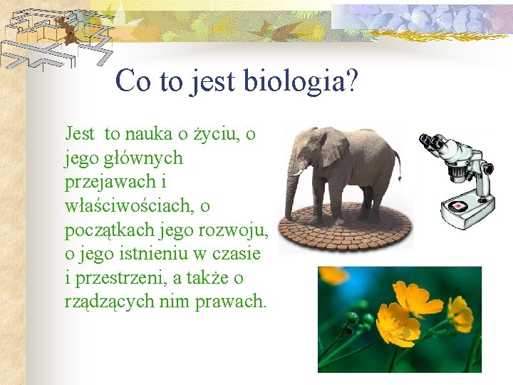 Co to jest biologia? Jest to nauka o życiu, o jego głównych przejawach i