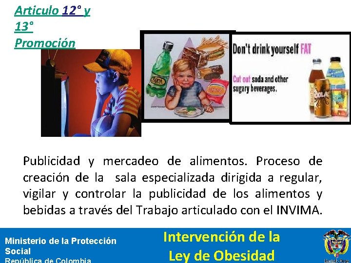 Articulo 12° y 13° Promoción Publicidad y mercadeo de alimentos. Proceso de creación de