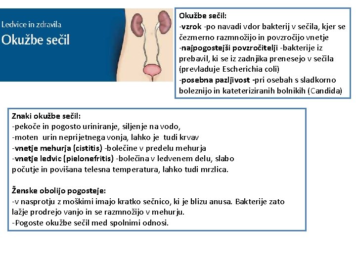 Okužbe sečil: -vzrok -po navadi vdor bakterij v sečila, kjer se čezmerno razmnožijo in