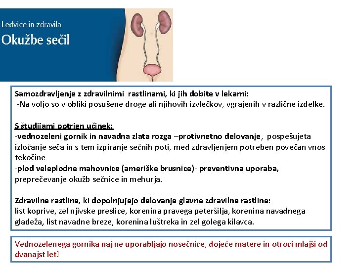 Samozdravljenje z zdravilnimi rastlinami, ki jih dobite v lekarni: -Na voljo so v obliki