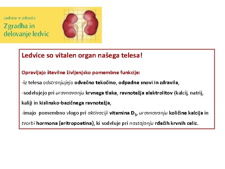 Ledvice so vitalen organ našega telesa! Opravljajo številne življenjsko pomembne funkcije: -iz telesa odstranjujejo